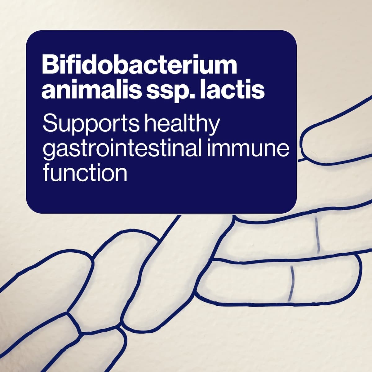 Thumbnail BioCeuticals UltraBiotic Immune Junior 30 Tablets