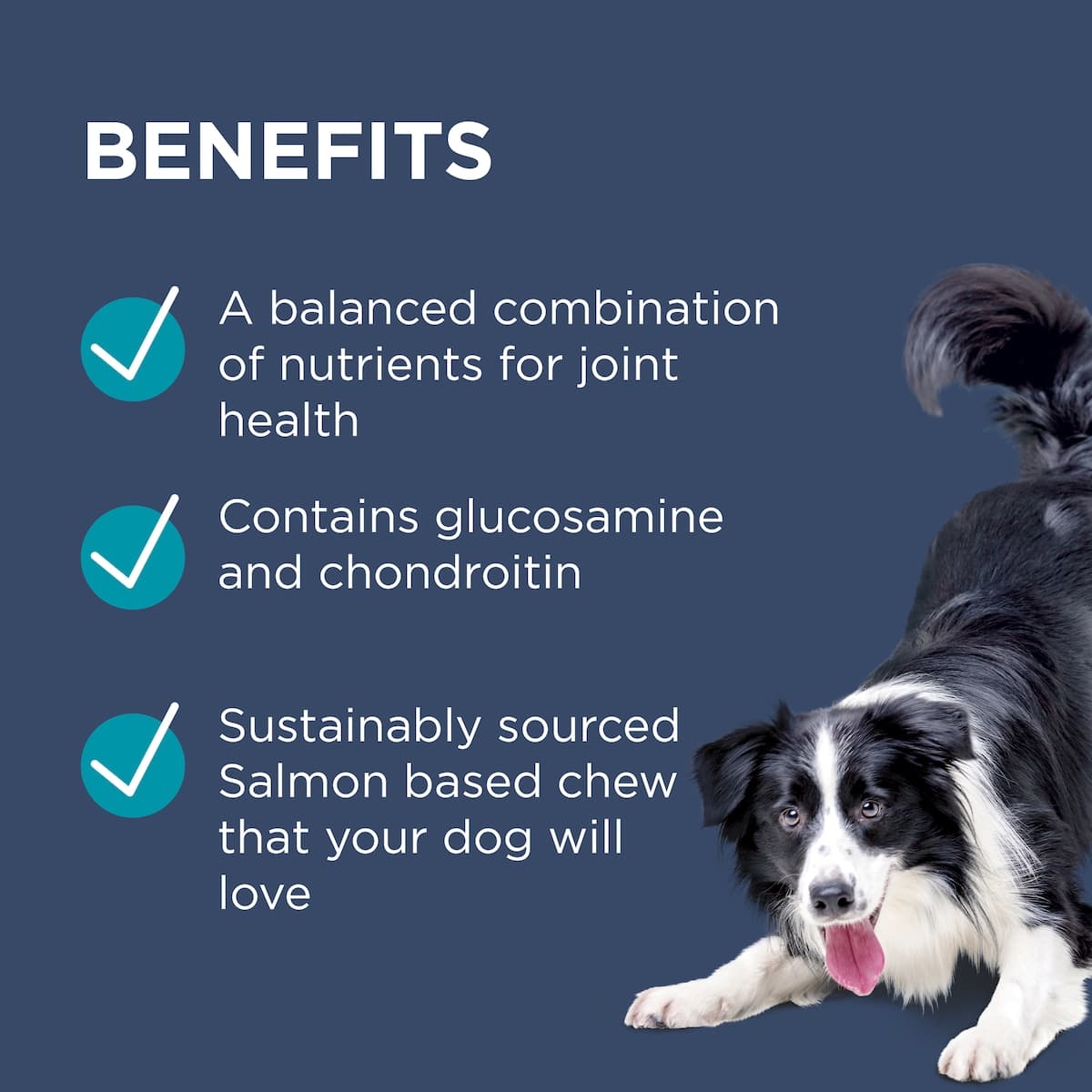 Thumbnail Blackmores PAW Osteocare Joint Protect Chews For Dogs 300g