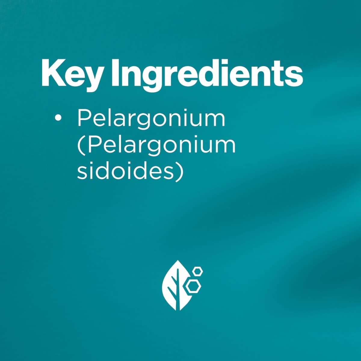 Thumbnail Blackmores Kaloba Liquid 50ml