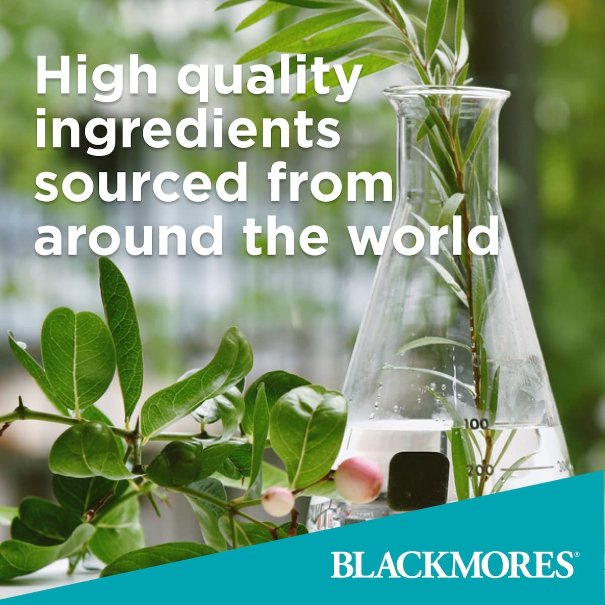 Thumbnail Blackmores Vitamin B12 100mcg 75 Tablets