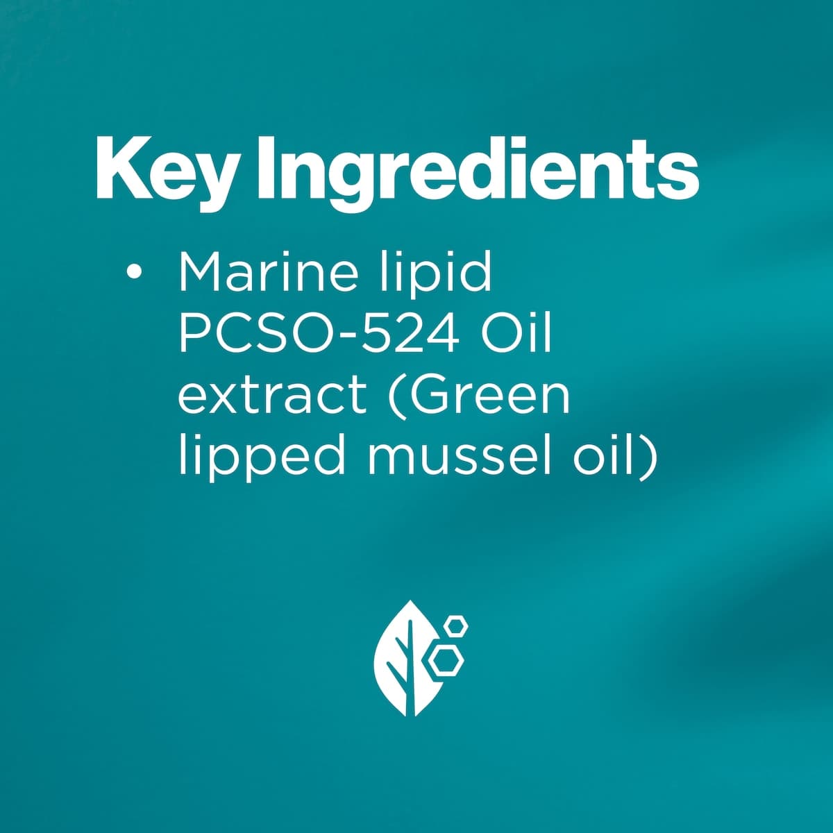 Thumbnail Blackmores Lyprinol 100 Capsules