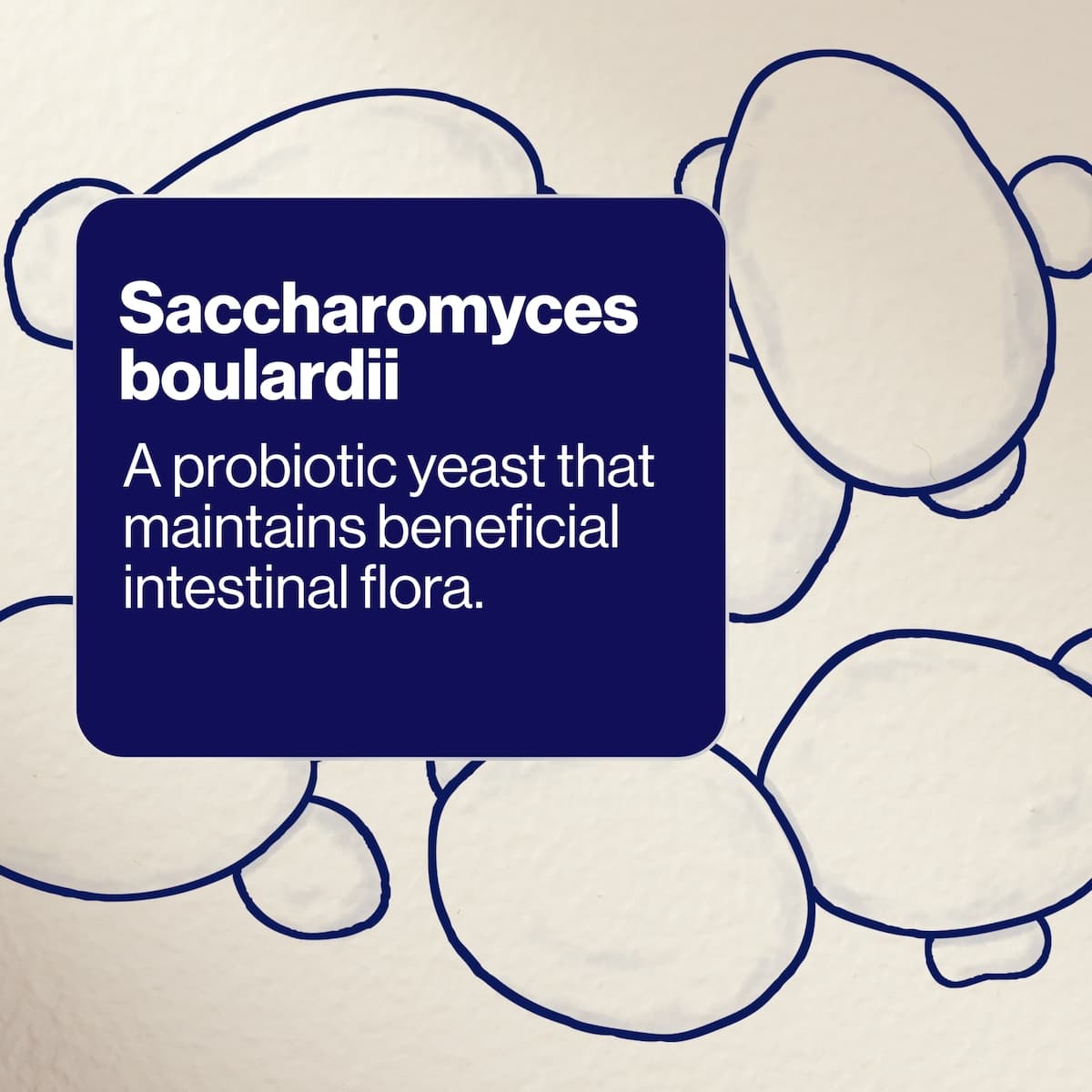 Thumbnail BioCeuticals SB Floractiv 120 Capsules