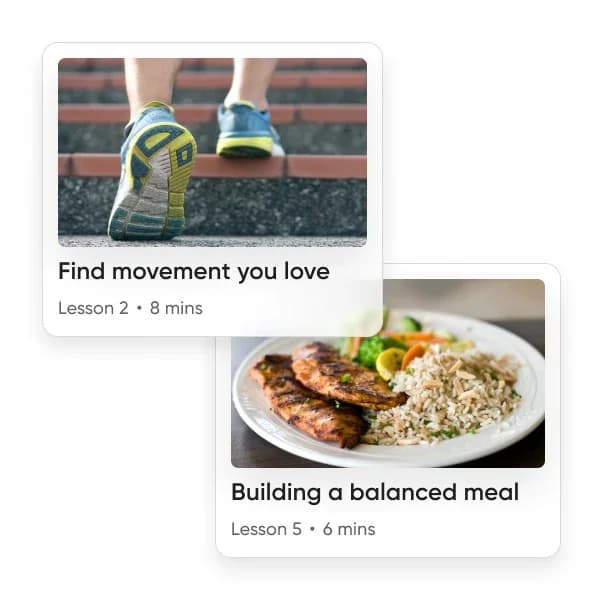 Expert-led support