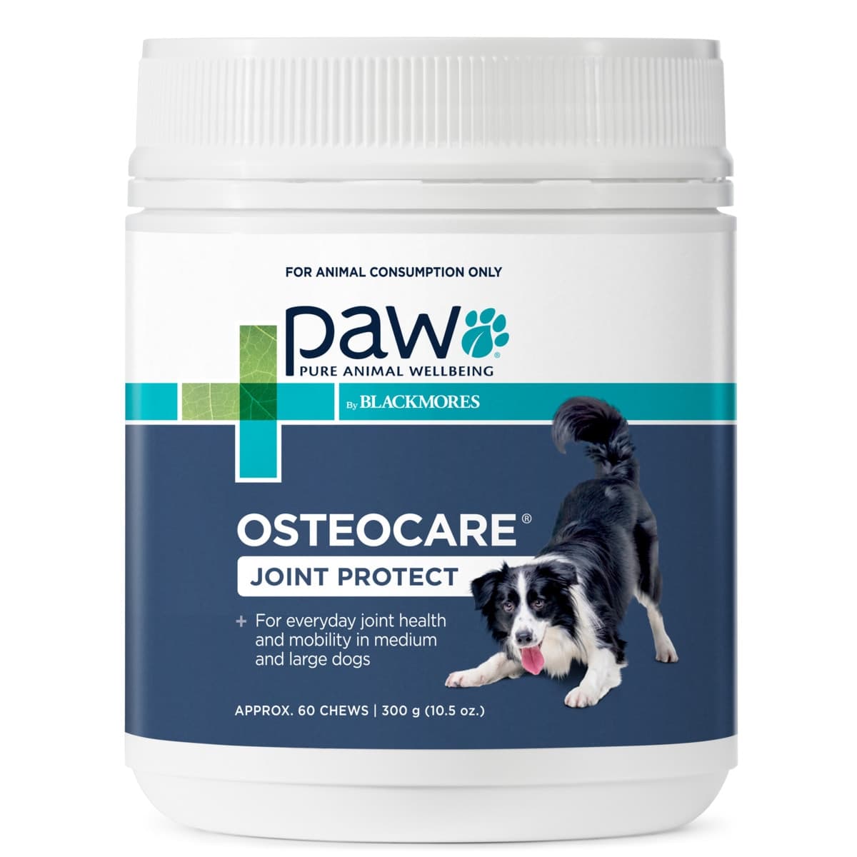 Blackmores PAW Osteocare Joint Protect Chews For Dogs 300g