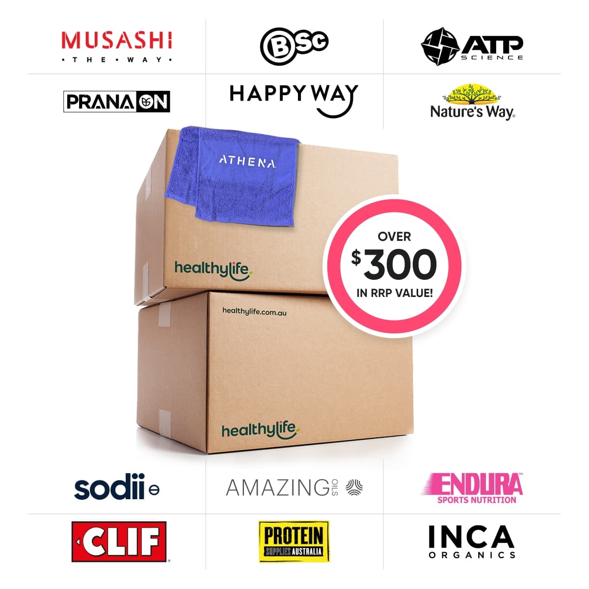 Healthylife Protein/Endurance Bundle