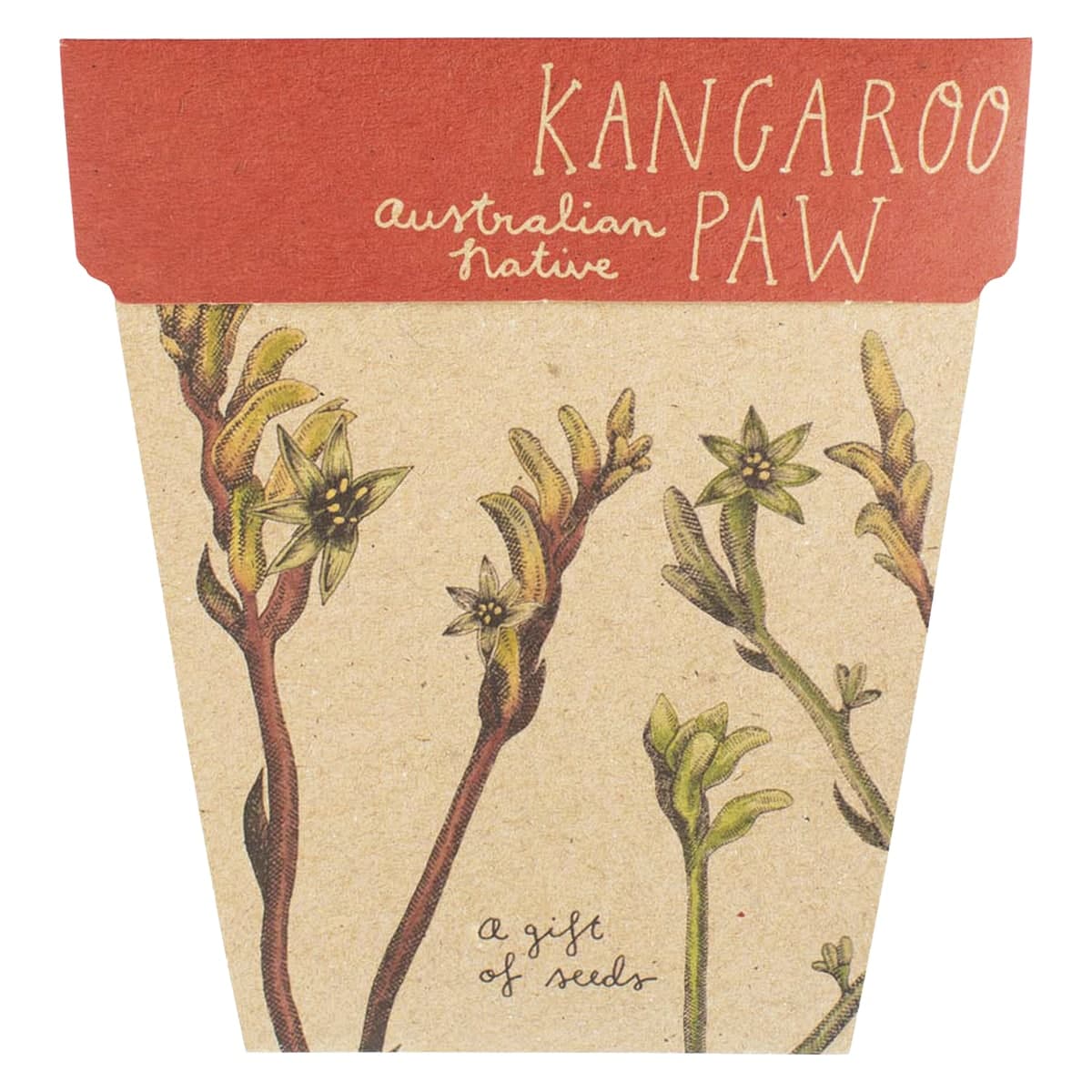 Sow 'n Sow Gift of Seeds Kangaroo Paw
