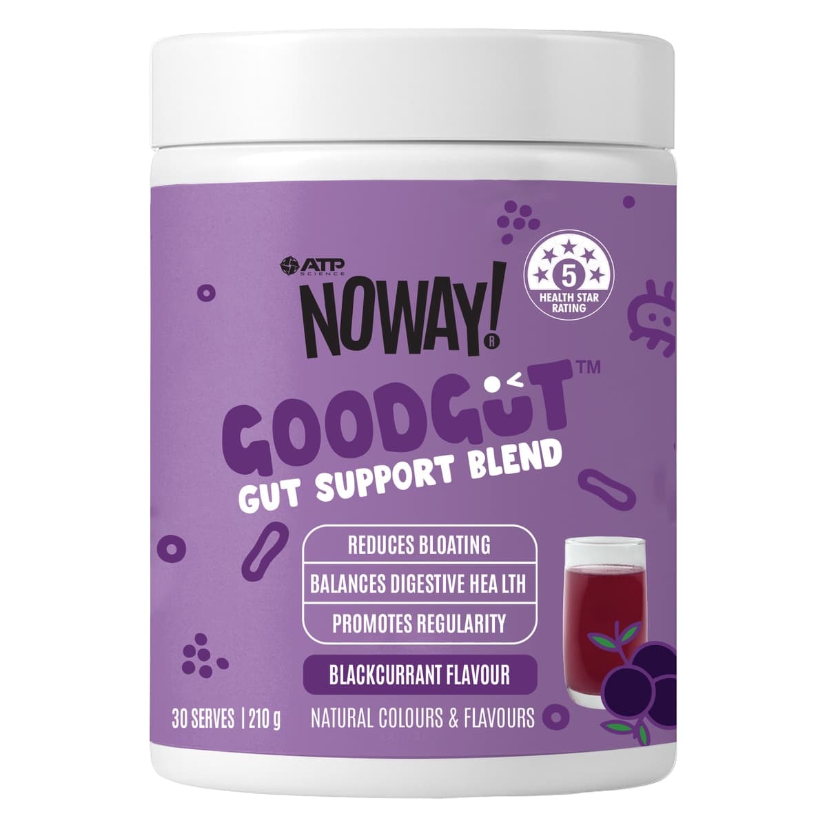 ATP Science Noway Goodgut Support Powder Blackcurrant 210g