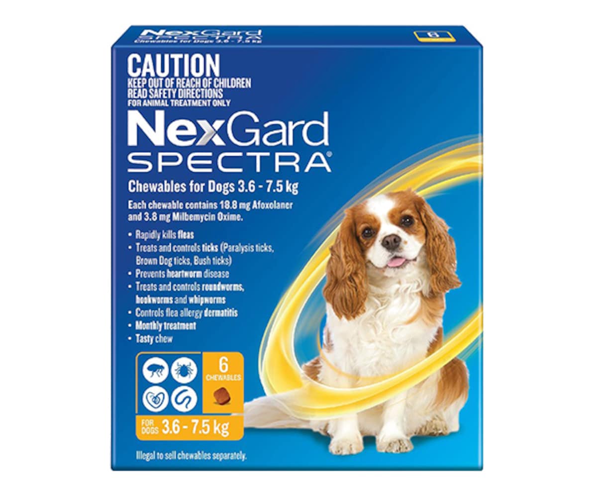 Nexgard Spectra Chewables for Small Dogs 3.6-7.5kg 6 Pack