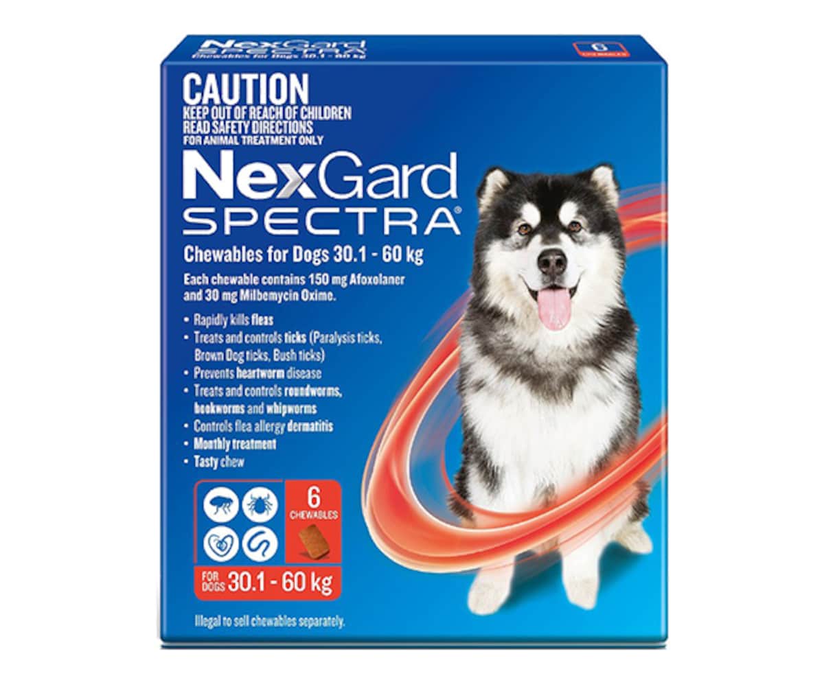 Nexgard Spectra Chewables for Extra Large Dogs 30.1-60kg 6 Pack