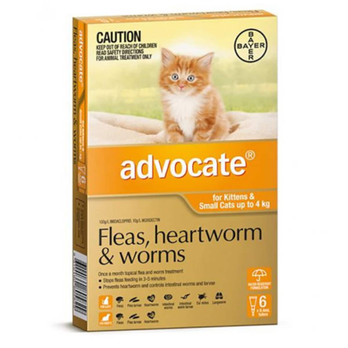 Advocate for Kittens & Small Cats up to 4kg Orange 6 Pack