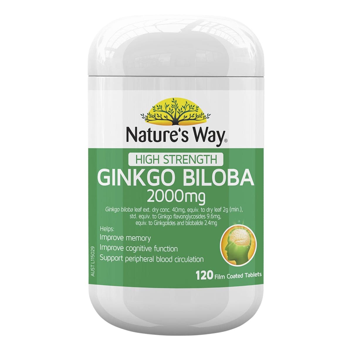 Nature's Way High Strength Ginkgo Biloba 120 Tablets