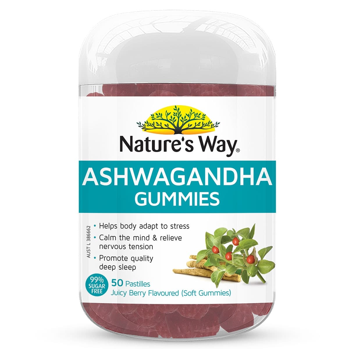 Nature's Way Ashwagandha Gummies 50 Pack