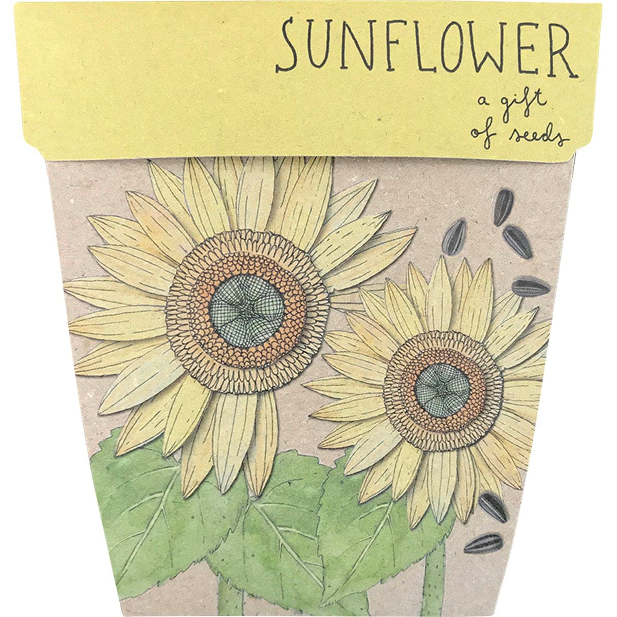 Sow 'n Sow Gift of Seeds Sunflower