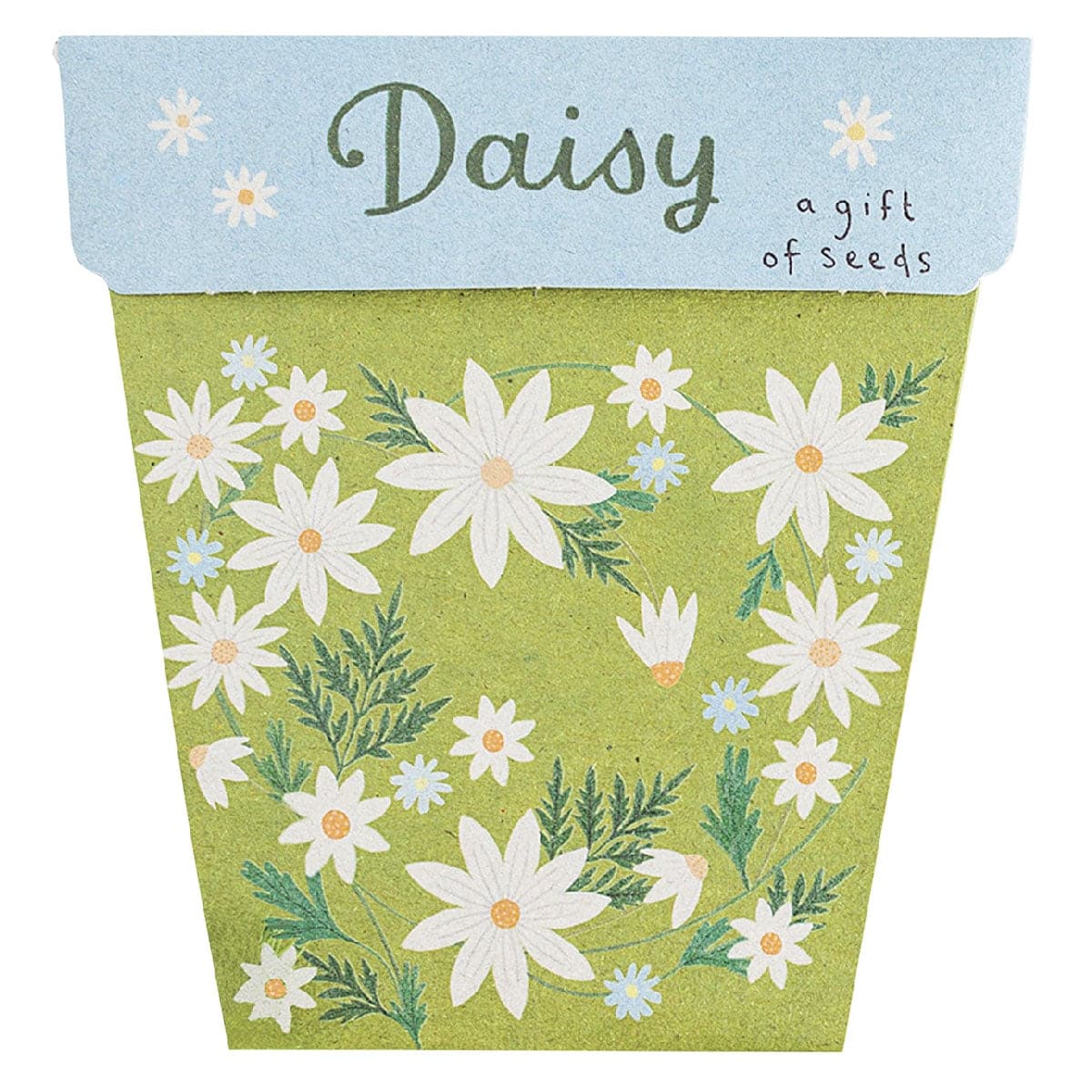 Sow 'n Sow Gift of Seeds Daisy 1 Pack