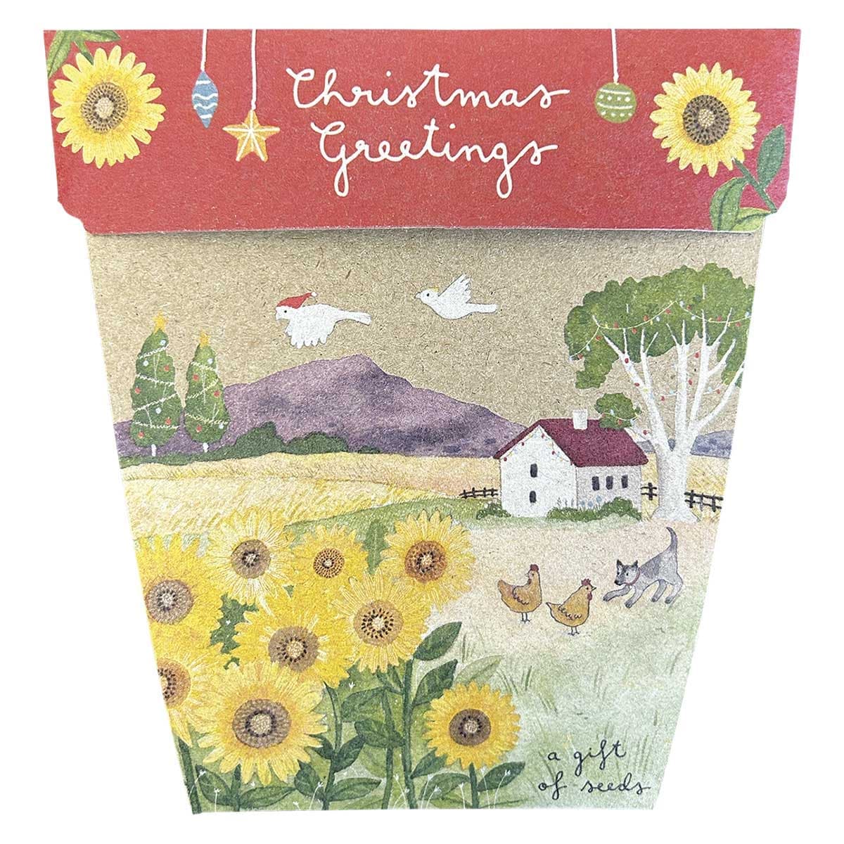 Sow 'n Sow Gift of Seeds Christmas Greetings - Sunflowers