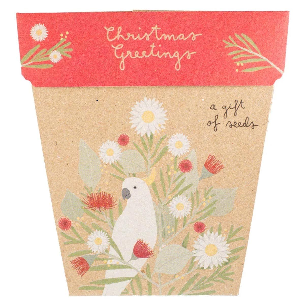 Sow 'n Sow Gift of Seeds Christmas Greetings - Everlasting Daises