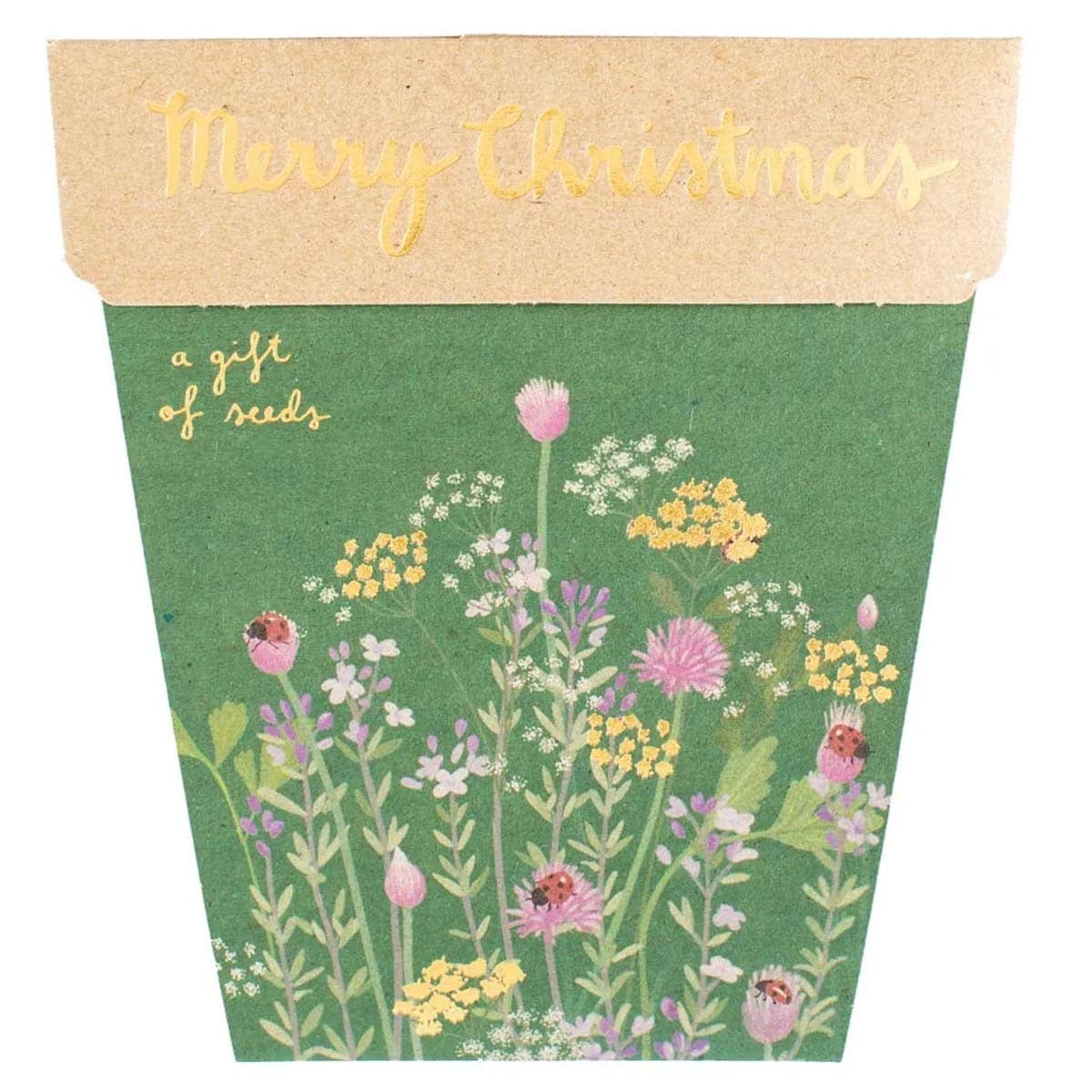 Sow 'n Sow Gift of Seeds Merry Christmas - Parsley Chives and Thyme