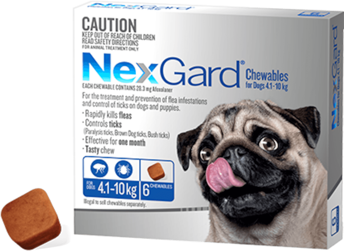 Nexgard Chewables for Small Dogs 4.1-10kg 6 Pack