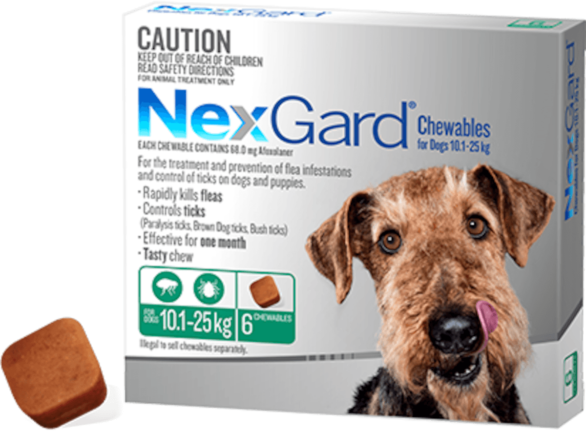 Nexgard Chewables for Medium Dogs 10.1-25kg 6 Pack